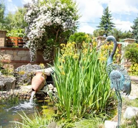 Arcanum Wellness & Sosto